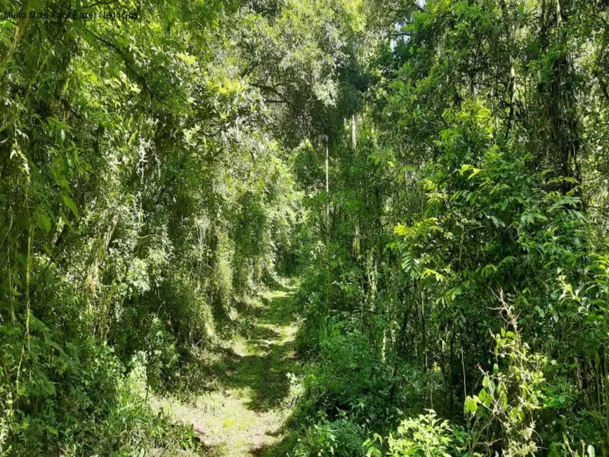 Foto 7 de Sítio / Rancho com 2 quartos à venda, 70m2 em Nova Petropolis - RS