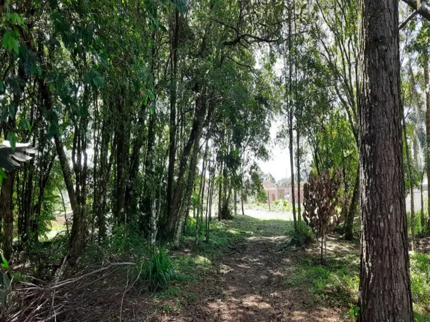 Foto 2 de Terreno / Lote à venda, 1176m2 em Nova Petropolis - RS