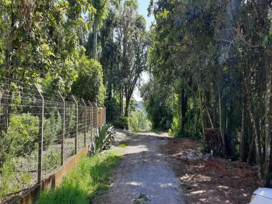 Casa com 4 quartos à venda, 241m2 em Nova Petropolis - RS - imagem 9 Foto 9 de Casa com 4 quartos à venda, 241m2 em Nova Petropolis - RS