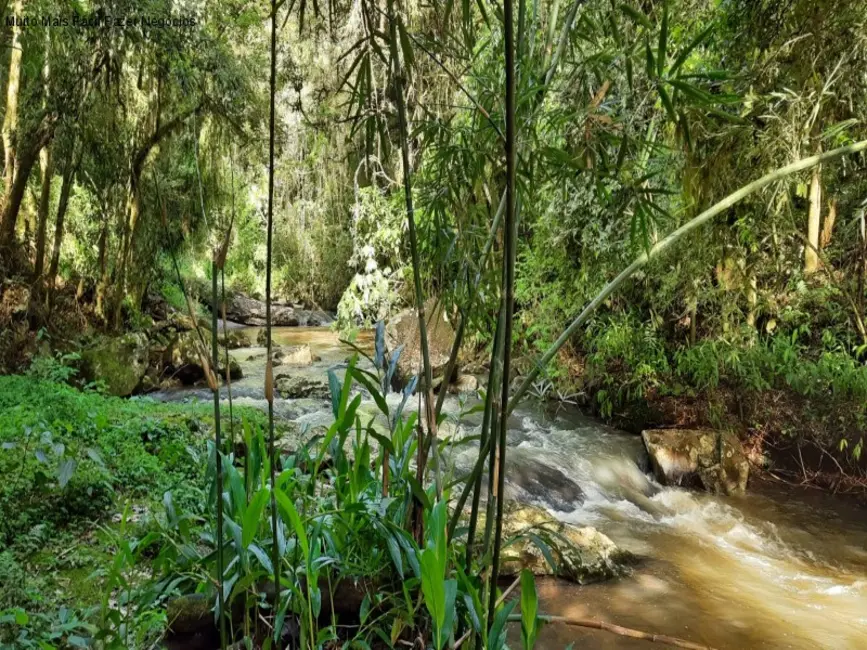 Foto 1 de Terreno / Lote à venda em Nova Petropolis - RS