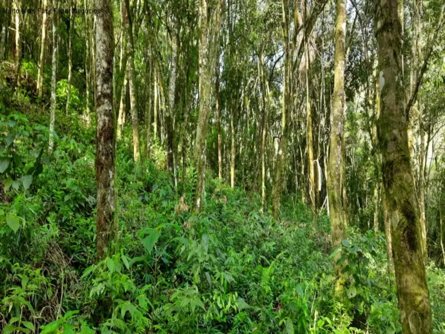 Terreno / Lote à venda em Nova Petropolis - RS - imagem 7 Foto 7 de Terreno / Lote à venda em Nova Petropolis - RS