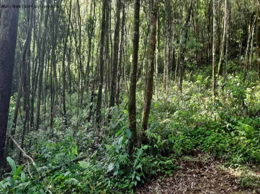 Terreno / Lote à venda em Nova Petropolis - RS - imagem 4 Foto 4 de Terreno / Lote à venda em Nova Petropolis - RS