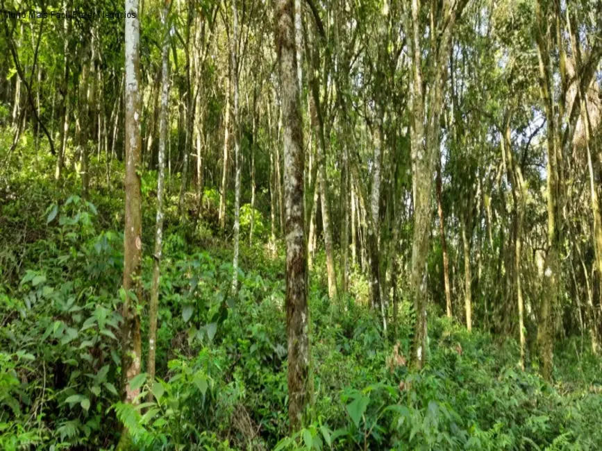 Terreno / Lote à venda em Nova Petropolis - RS - imagem 8 Foto 8 de Terreno / Lote à venda em Nova Petropolis - RS