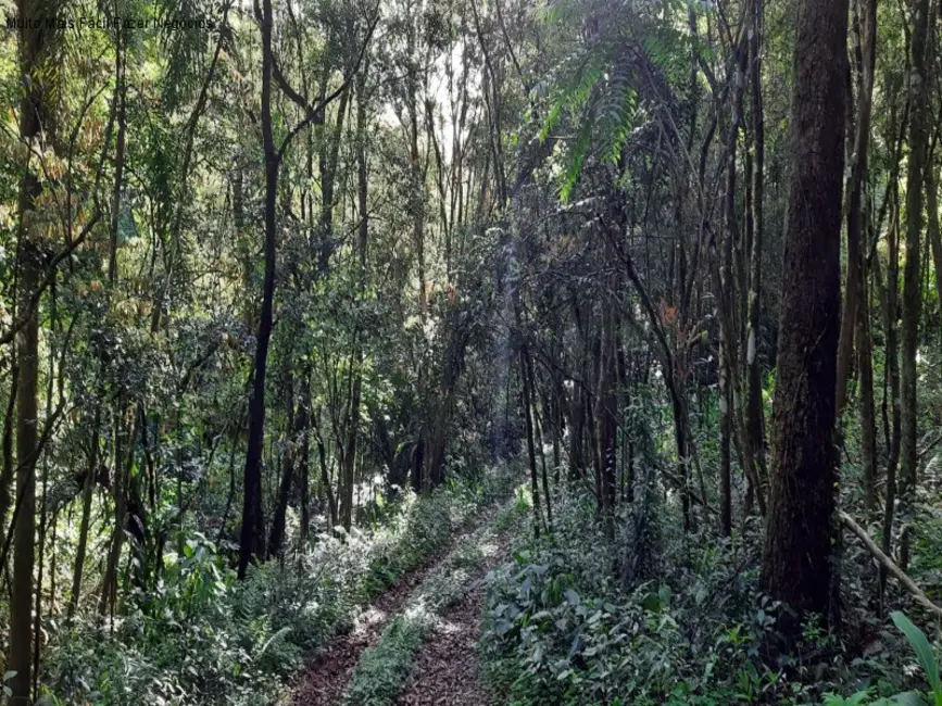 Foto 2 de Terreno / Lote à venda em Nova Petropolis - RS