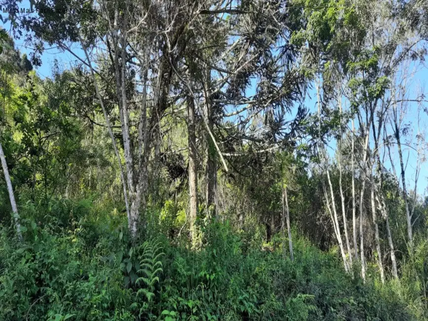 Foto 3 de Terreno / Lote à venda em Nova Petropolis - RS
