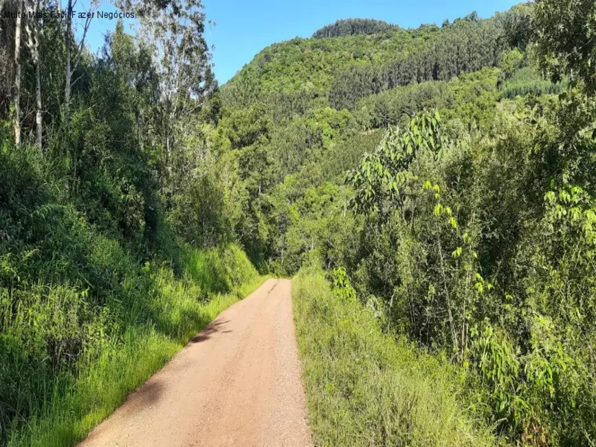 Foto 4 de Terreno / Lote à venda em Nova Petropolis - RS