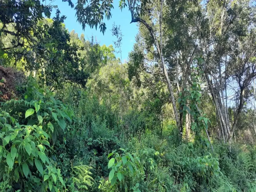 Foto 7 de Terreno / Lote à venda em Nova Petropolis - RS