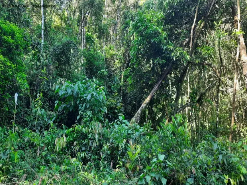 Foto 9 de Terreno / Lote à venda em Nova Petropolis - RS