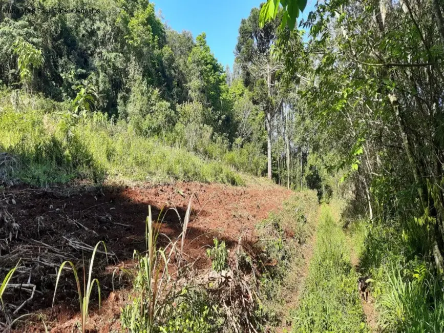 Foto 1 de Terreno / Lote à venda em Nova Petropolis - RS