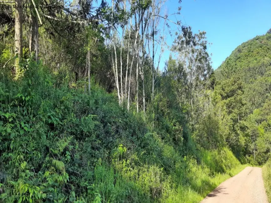 Foto 2 de Terreno / Lote à venda em Nova Petropolis - RS