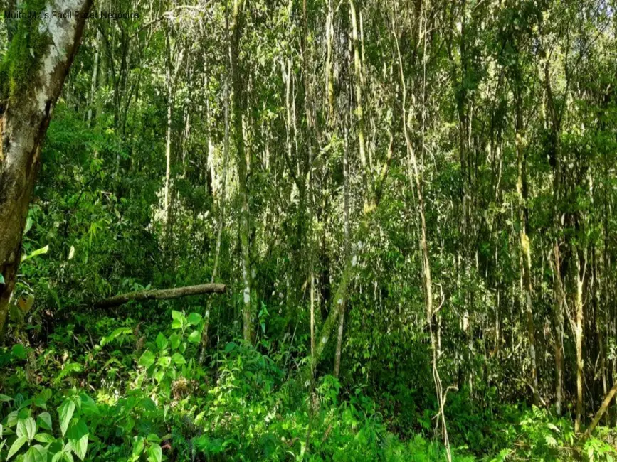 Foto 8 de Terreno / Lote à venda em Nova Petropolis - RS