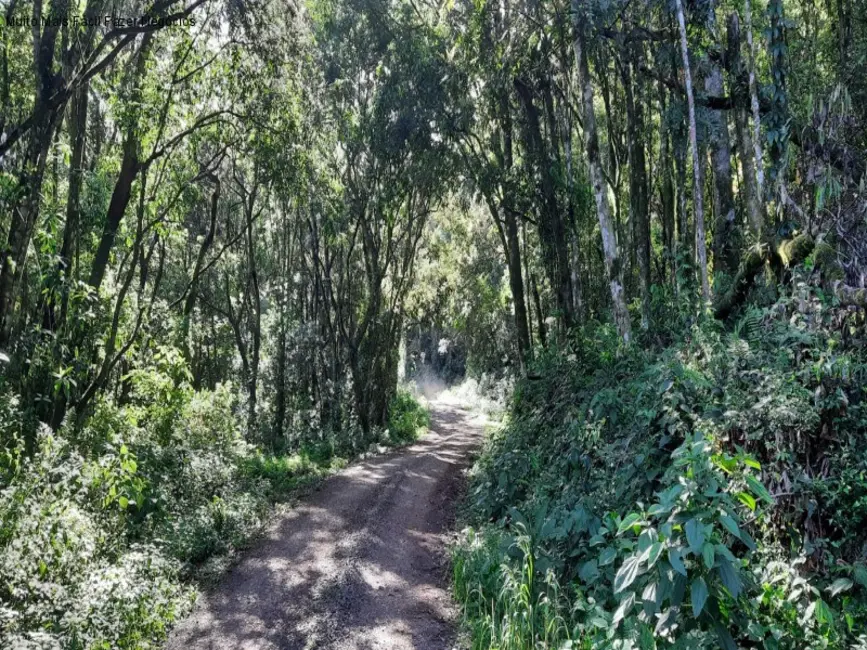 Foto 5 de Terreno / Lote à venda em Nova Petropolis - RS