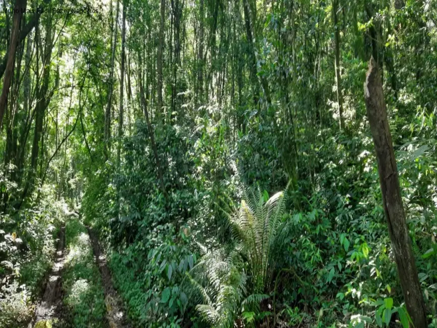 Terreno / Lote à venda em Nova Petropolis - RS - imagem 9 Foto 9 de Terreno / Lote à venda em Nova Petropolis - RS