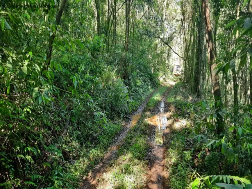 Terreno / Lote à venda em Nova Petropolis - RS - imagem 7 Foto 7 de Terreno / Lote à venda em Nova Petropolis - RS