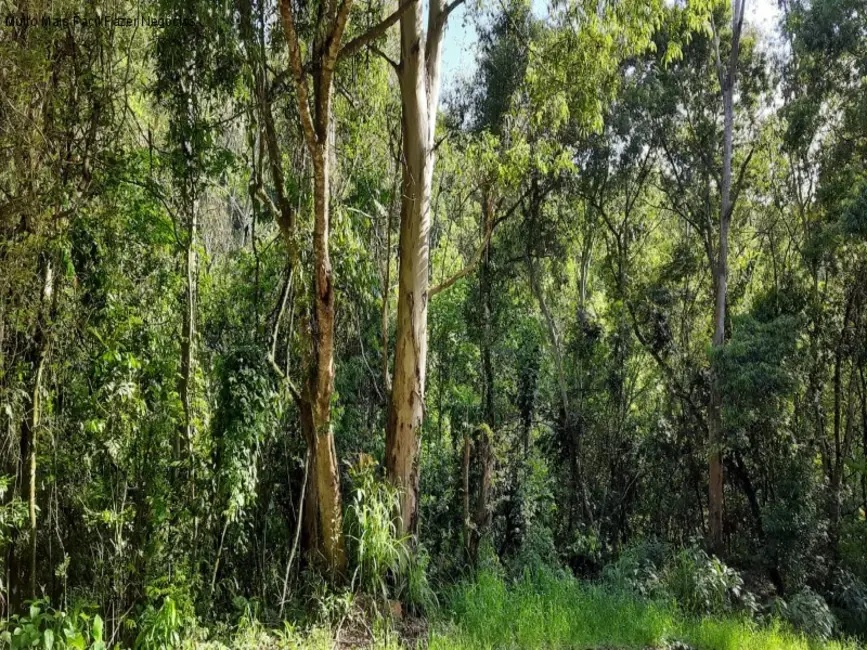 Terreno / Lote à venda em Nova Petropolis - RS - imagem 4 Foto 4 de Terreno / Lote à venda em Nova Petropolis - RS