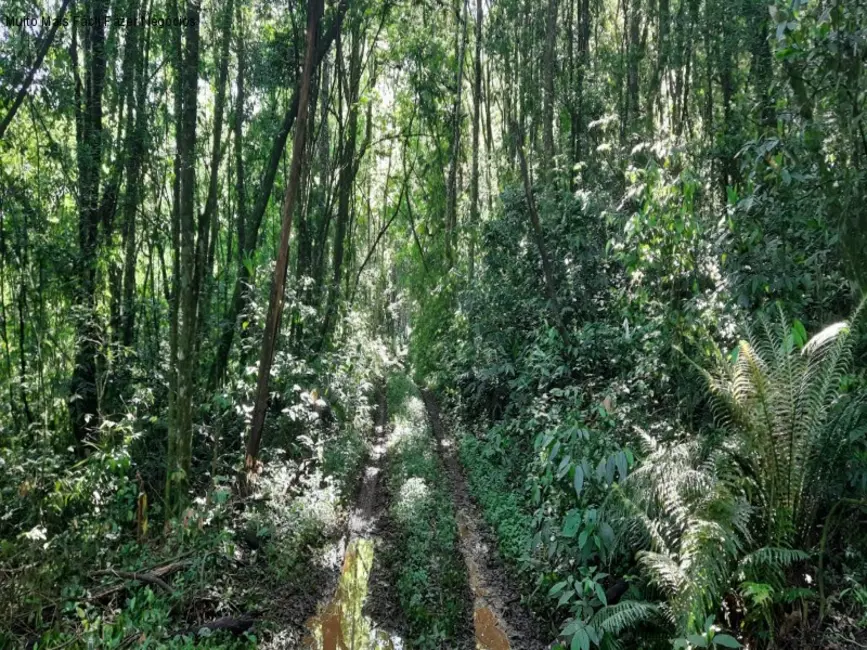 Terreno / Lote à venda em Nova Petropolis - RS - imagem 8 Foto 8 de Terreno / Lote à venda em Nova Petropolis - RS