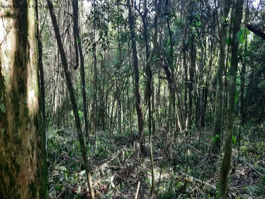 Foto 1 de Terreno / Lote à venda em Nova Petropolis - RS