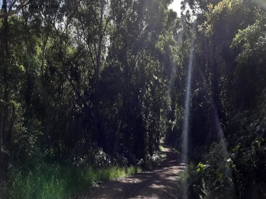 Terreno / Lote à venda em Nova Petropolis - RS - imagem 3 Foto 3 de Terreno / Lote à venda em Nova Petropolis - RS