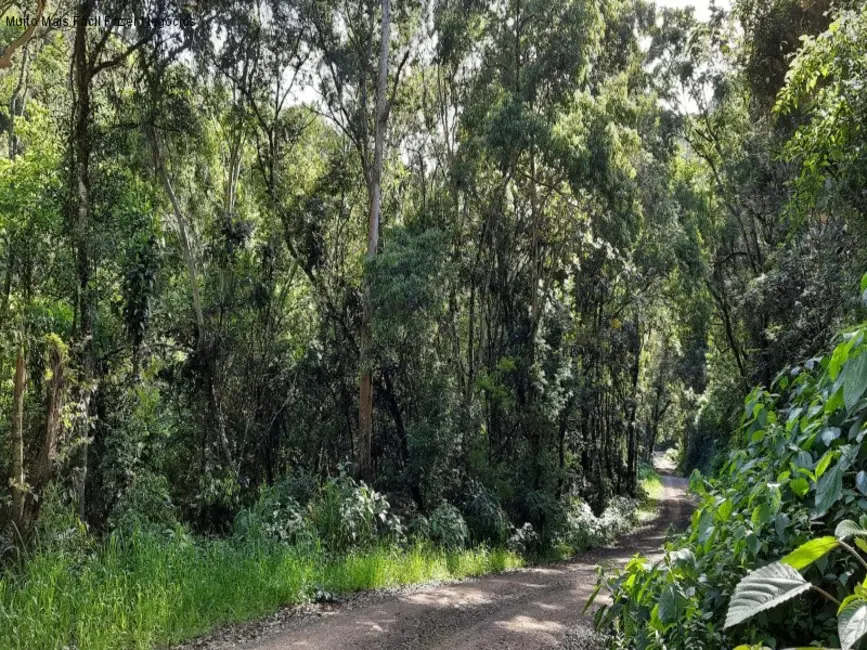 Terreno / Lote à venda em Nova Petropolis - RS - imagem 2 Foto 2 de Terreno / Lote à venda em Nova Petropolis - RS