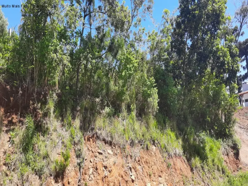 Terreno / Lote à venda, 546m2 em Nova Petropolis - RS - imagem 3 Foto 3 de Terreno / Lote à venda, 546m2 em Nova Petropolis - RS