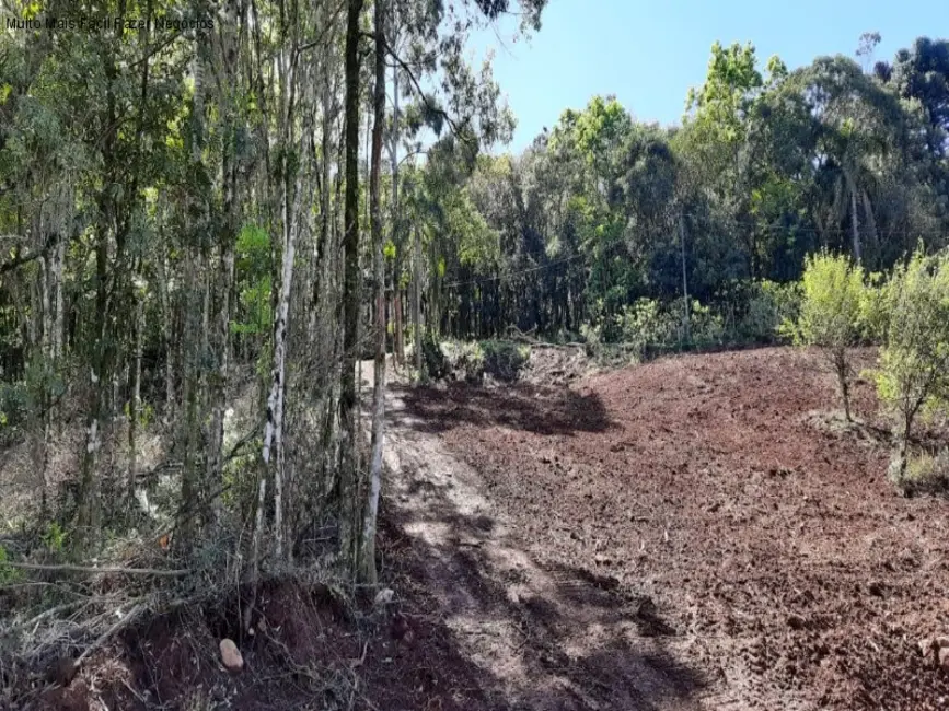 Foto 1 de Terreno / Lote à venda, 675m2 em Nova Petropolis - RS