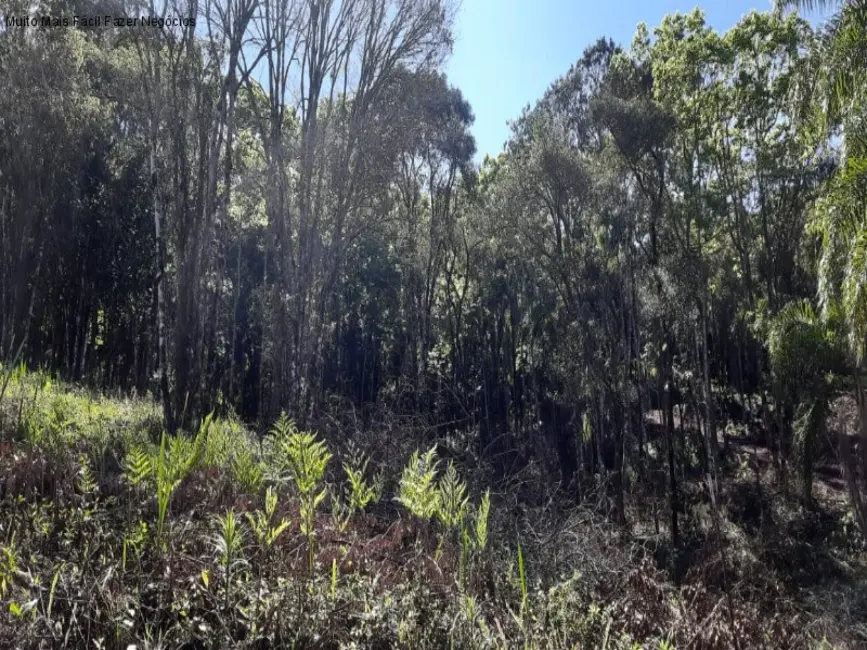 Terreno / Lote à venda, 675m2 em Nova Petropolis - RS - imagem 3 Foto 3 de Terreno / Lote à venda, 675m2 em Nova Petropolis - RS