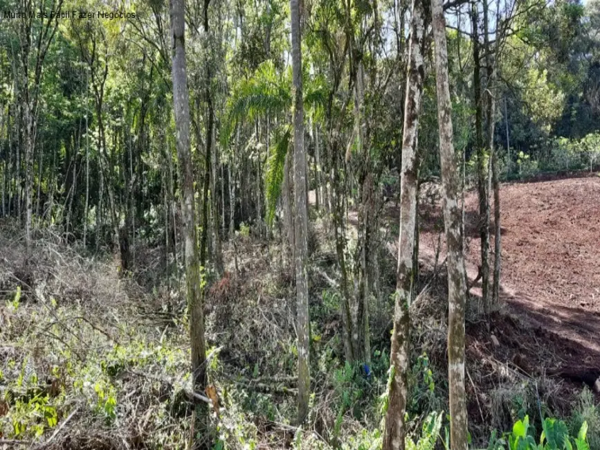 Terreno / Lote à venda, 675m2 em Nova Petropolis - RS - imagem 1 Foto 1 de Terreno / Lote à venda, 675m2 em Nova Petropolis - RS