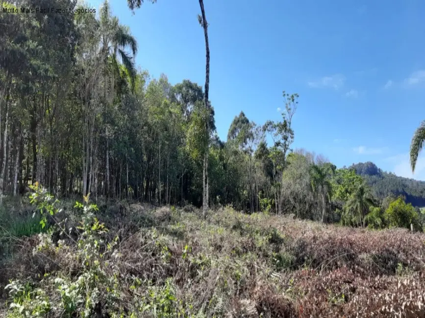 Foto 1 de Terreno / Lote à venda, 675m2 em Nova Petropolis - RS