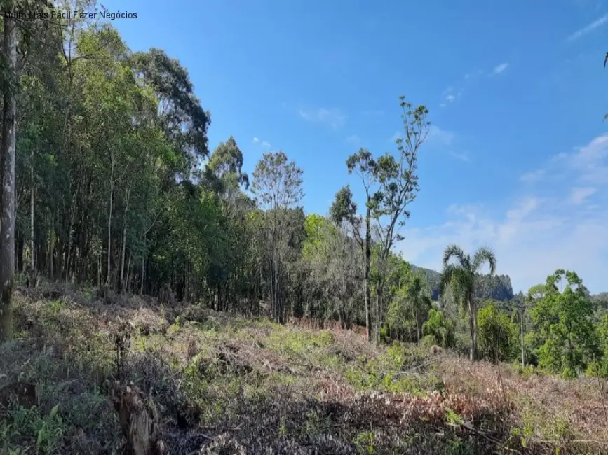 Terreno / Lote à venda, 675m2 em Nova Petropolis - RS - imagem 3 Foto 3 de Terreno / Lote à venda, 675m2 em Nova Petropolis - RS
