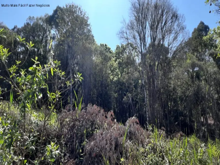 Terreno / Lote à venda, 675m2 em Nova Petropolis - RS - imagem 5 Foto 5 de Terreno / Lote à venda, 675m2 em Nova Petropolis - RS