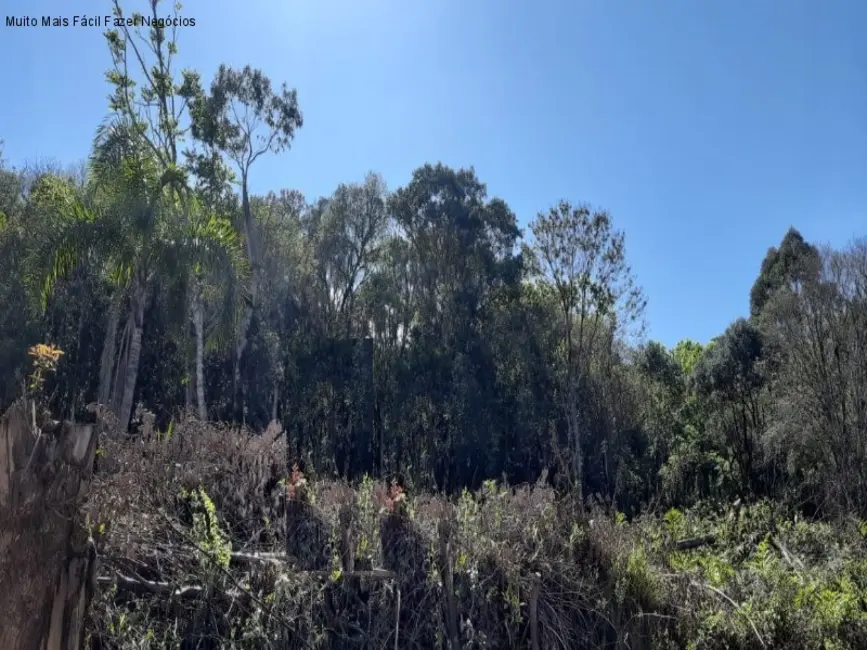 Foto 2 de Terreno / Lote à venda, 688m2 em Nova Petropolis - RS