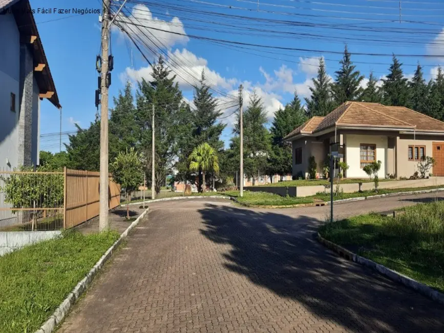 Terreno / Lote à venda, 500m2 em Nova Petropolis - RS - imagem 4 Foto 4 de Terreno / Lote à venda, 500m2 em Nova Petropolis - RS