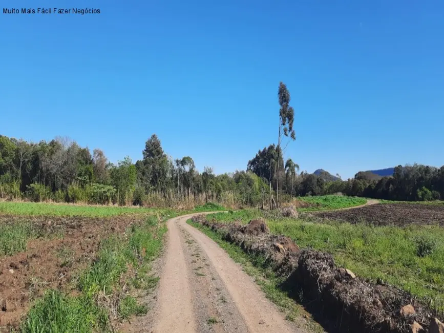 Foto 5 de Sítio / Rancho com 3 quartos à venda, 300m2 em Santa Maria Do Herval - RS
