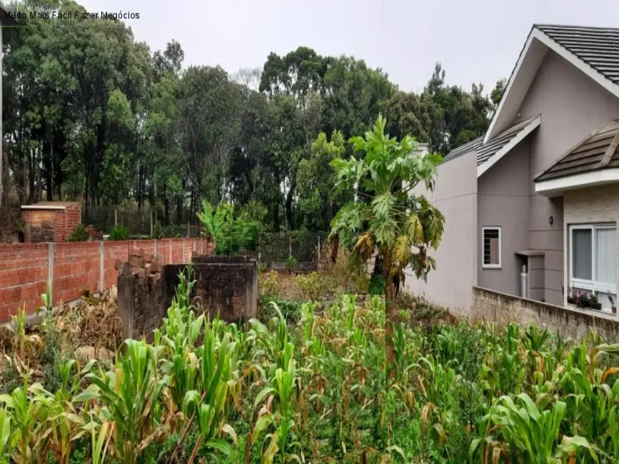 Foto 1 de Terreno / Lote à venda, 449m2 em Nova Petropolis - RS