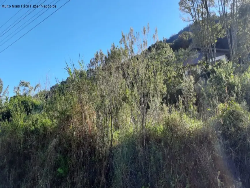 Foto 1 de Terreno / Lote à venda, 378m2 em Nova Petropolis - RS