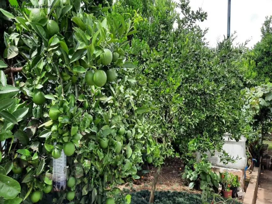 Casa com 4 quartos à venda, 267m2 em Nova Petropolis - RS - imagem 6 Foto 6 de Casa com 4 quartos à venda, 267m2 em Nova Petropolis - RS