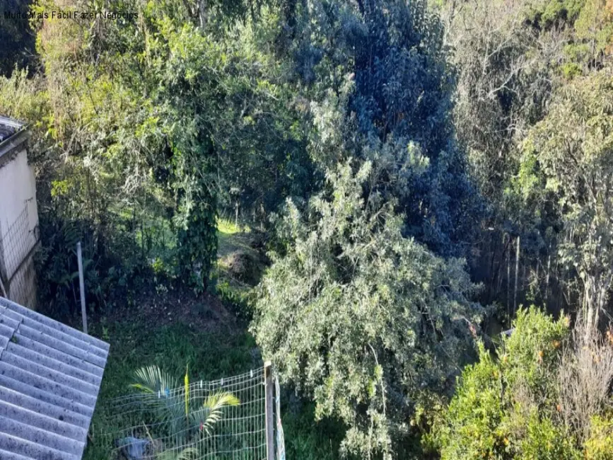 Foto 7 de Casa com 4 quartos à venda, 125m2 em Centro, Nova Petropolis - RS