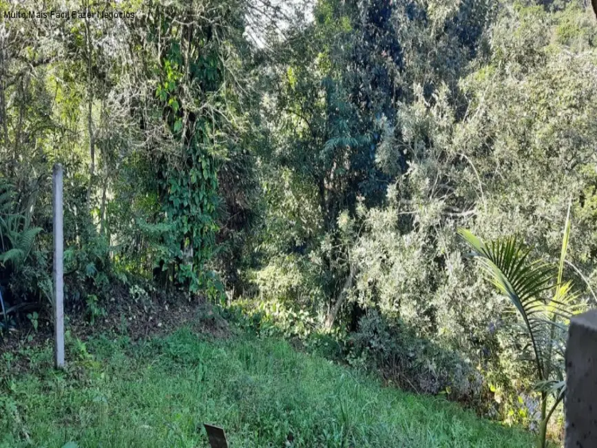 Foto 3 de Casa com 4 quartos à venda, 125m2 em Centro, Nova Petropolis - RS