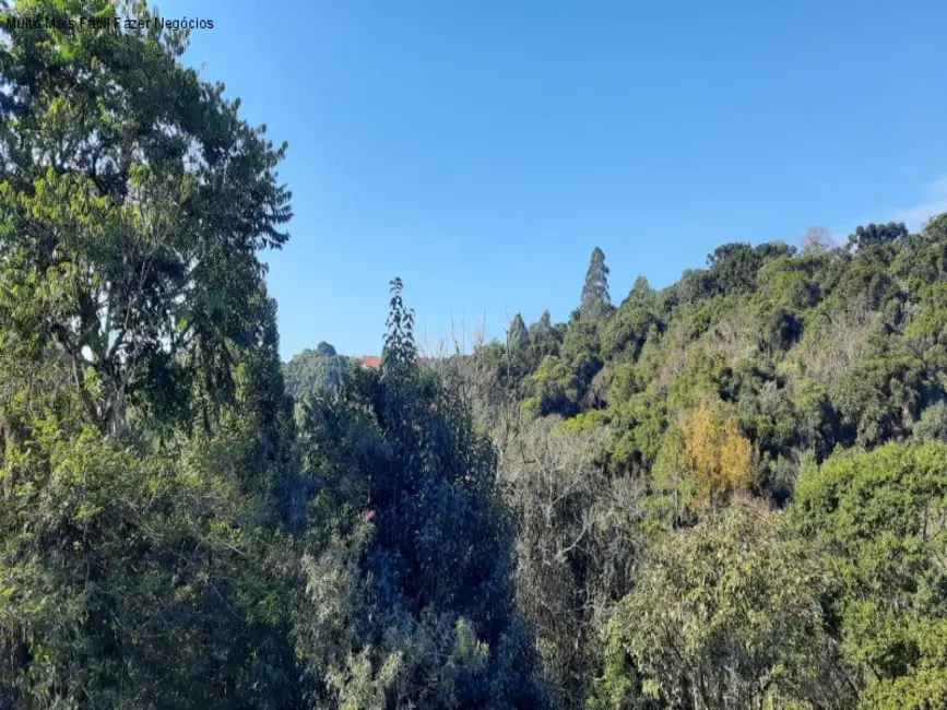 Foto 9 de Casa com 4 quartos à venda, 125m2 em Centro, Nova Petropolis - RS