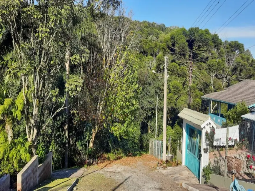 Foto 5 de Casa com 4 quartos à venda, 125m2 em Centro, Nova Petropolis - RS