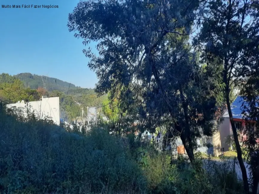 Foto 1 de Terreno / Lote à venda, 420m2 em Nova Petropolis - RS