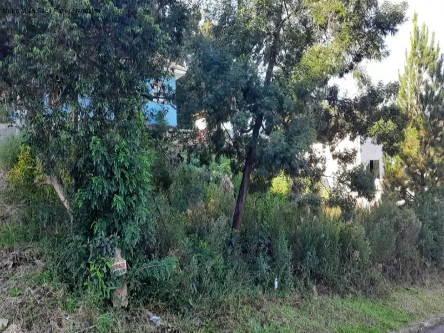 Terreno / Lote à venda, 420m2 em Nova Petropolis - RS - imagem 4 Foto 4 de Terreno / Lote à venda, 420m2 em Nova Petropolis - RS