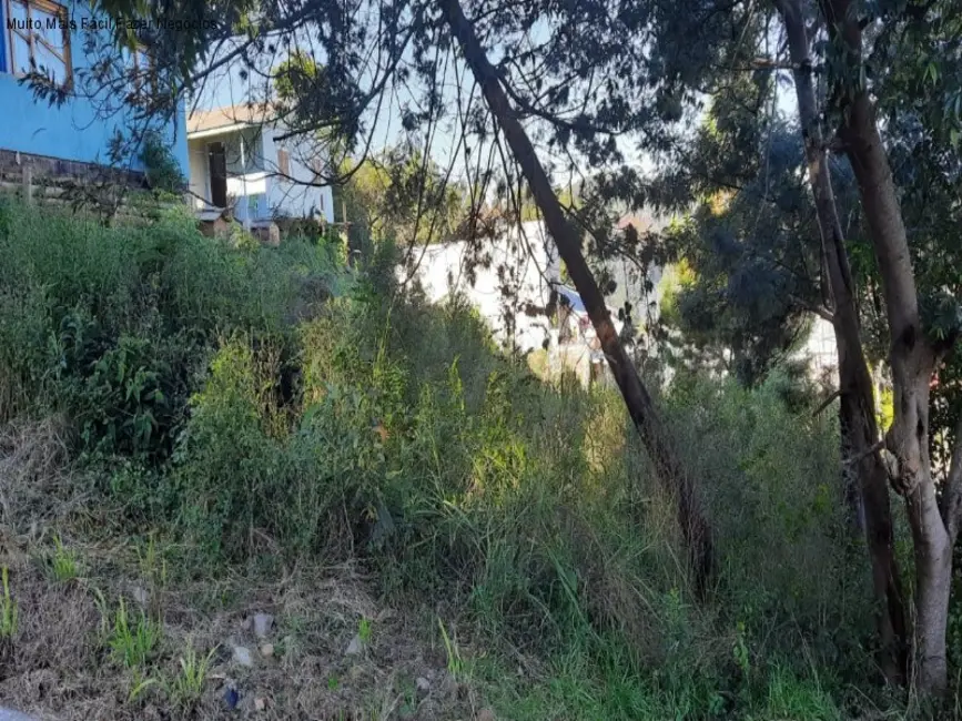 Terreno / Lote à venda, 420m2 em Nova Petropolis - RS - imagem 2 Foto 2 de Terreno / Lote à venda, 420m2 em Nova Petropolis - RS