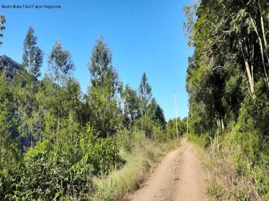 Foto 4 de Terreno / Lote à venda em Nova Petropolis - RS