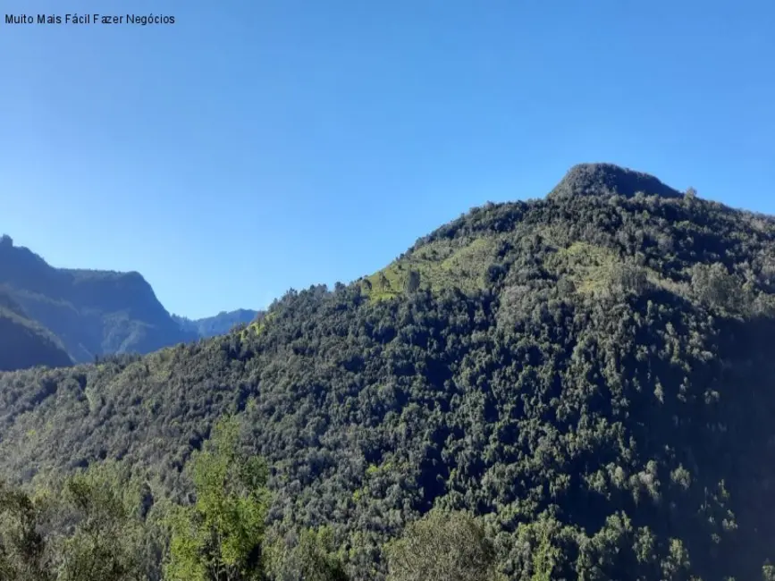 Foto 7 de Terreno / Lote à venda em Nova Petropolis - RS
