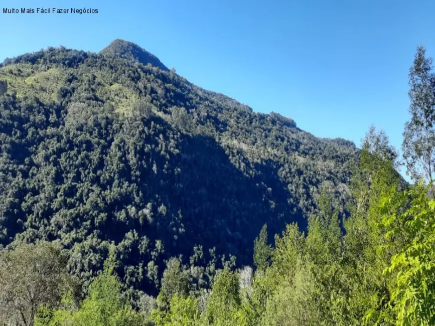 Foto 5 de Terreno / Lote à venda em Nova Petropolis - RS