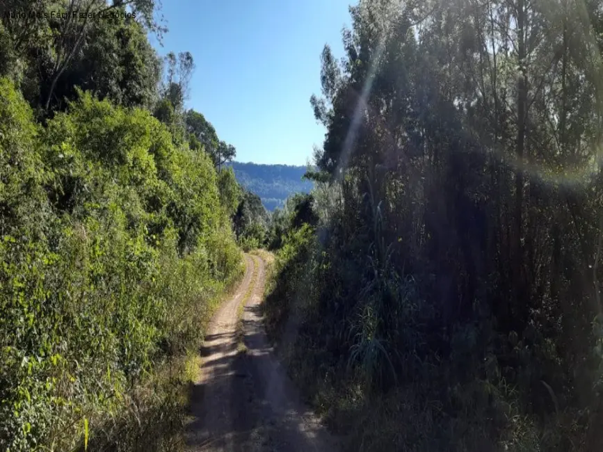 Foto 8 de Terreno / Lote à venda em Nova Petropolis - RS