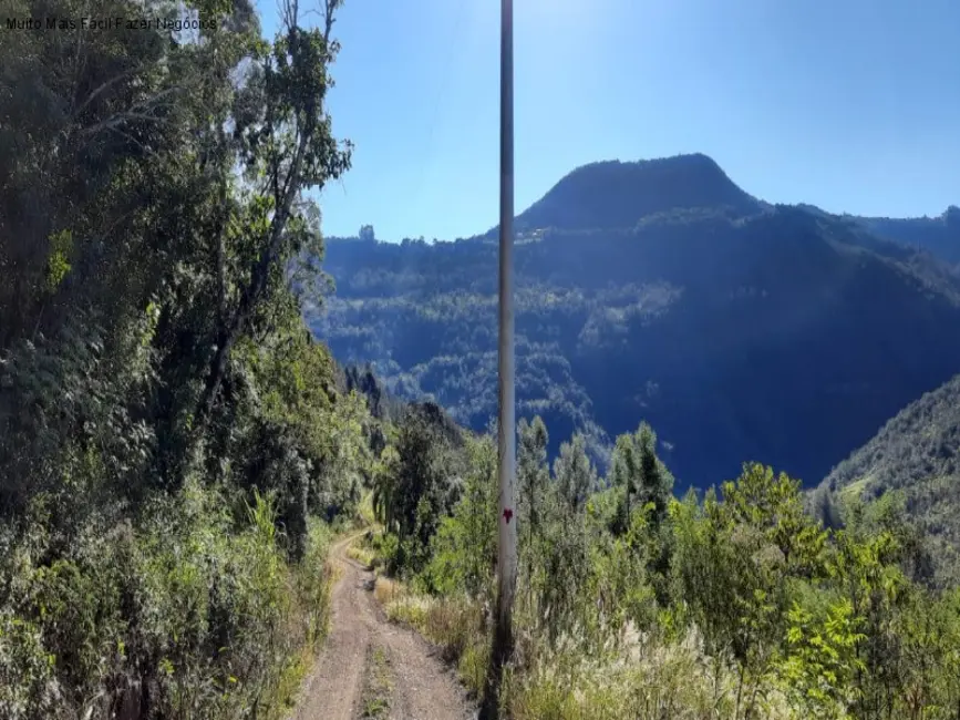 Foto 2 de Terreno / Lote à venda em Nova Petropolis - RS