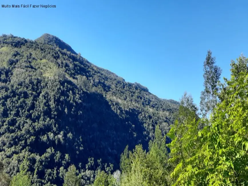 Foto 3 de Terreno / Lote à venda em Nova Petropolis - RS