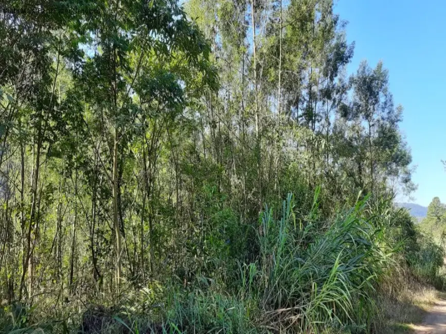 Foto 9 de Terreno / Lote à venda em Nova Petropolis - RS